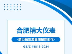 GB/Z 44813-2024l(f)Ϸʾxy